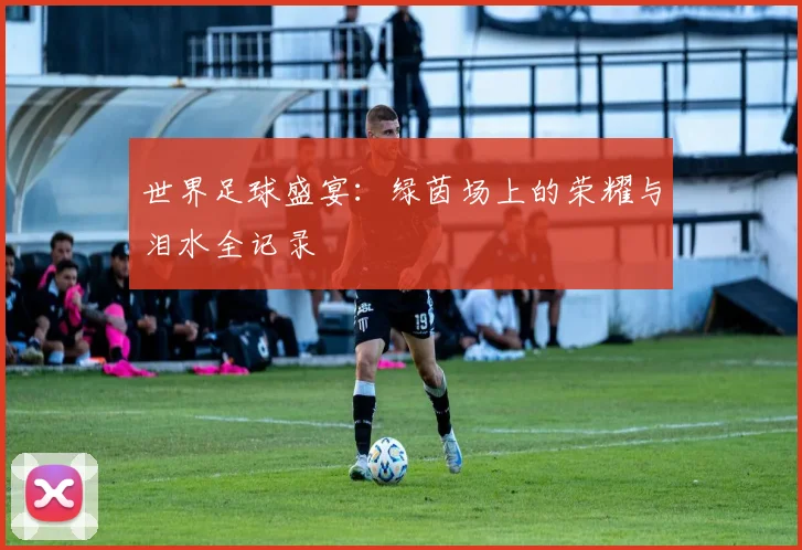 世界足球盛宴：绿茵场上的荣耀与泪水全记录